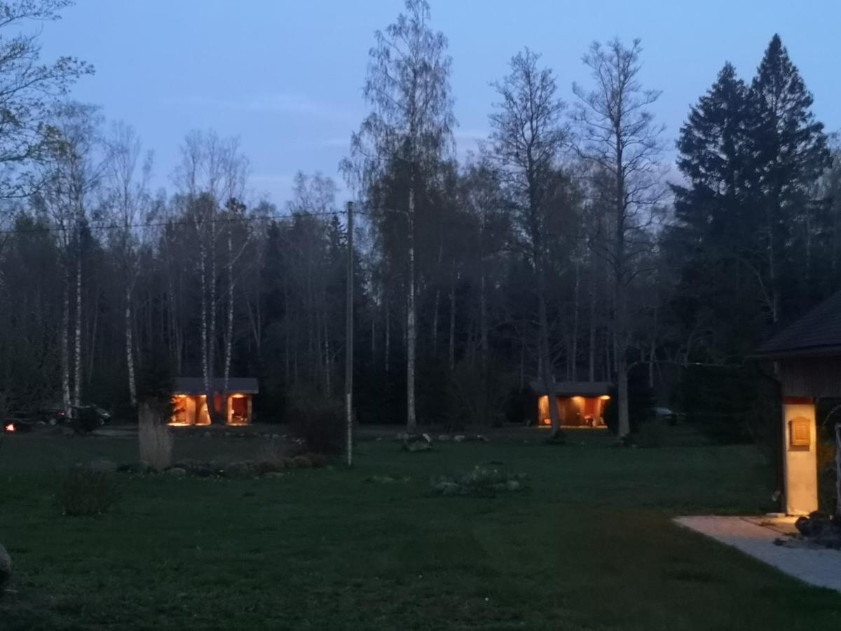 Brivdienu Maja "Raudini" Kaltene Luaran gambar