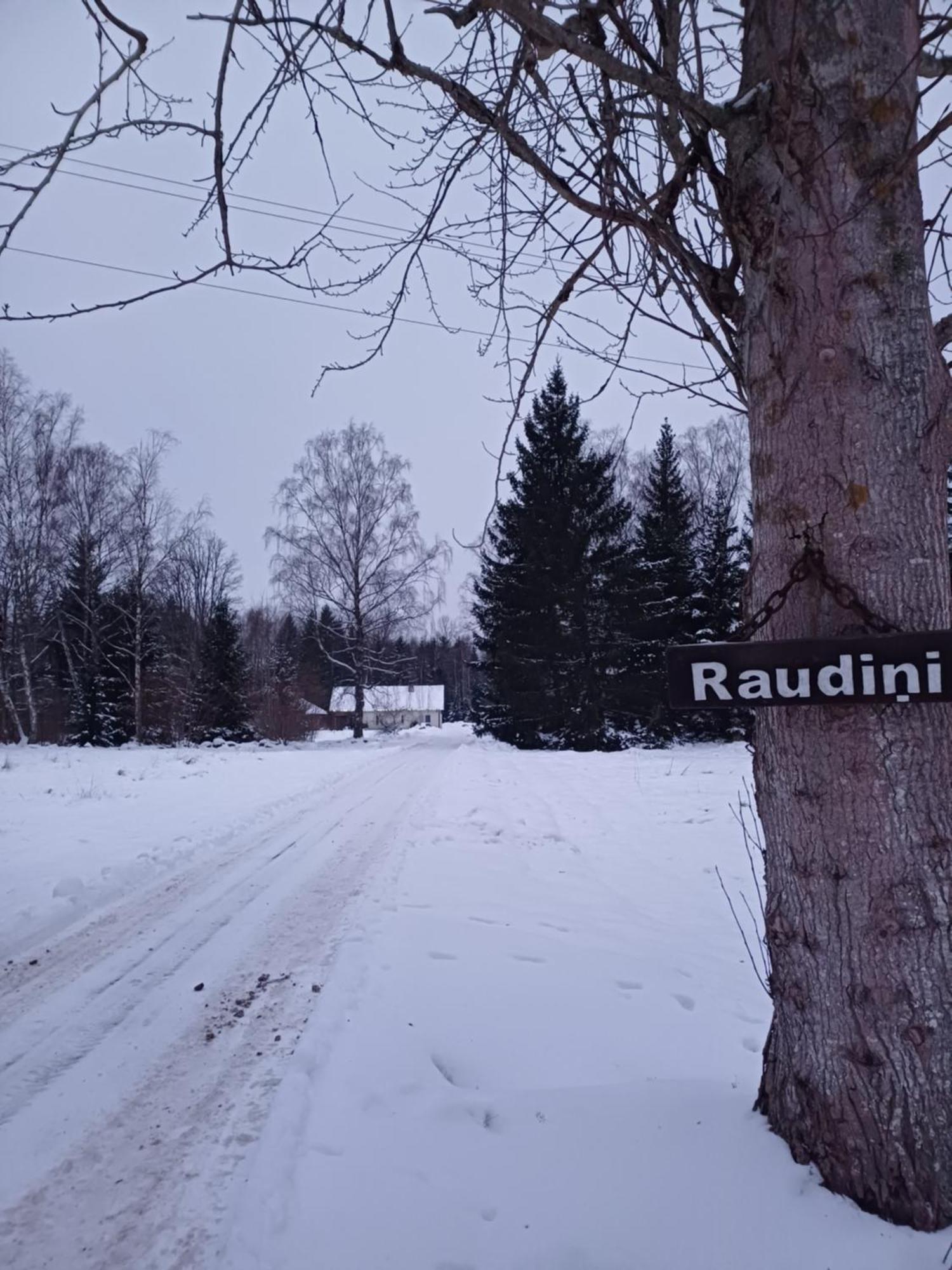 Brivdienu Maja "Raudini" Kaltene Luaran gambar